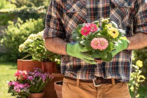 Pourquoi devriez-vous suivre des cours de jardinage à domicile